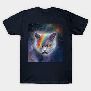 Moustached British blue cat T-Shirt